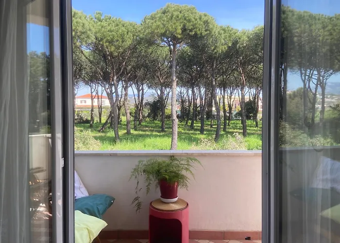 Confortevole Appartamento Tra Spiaggia E Pinete